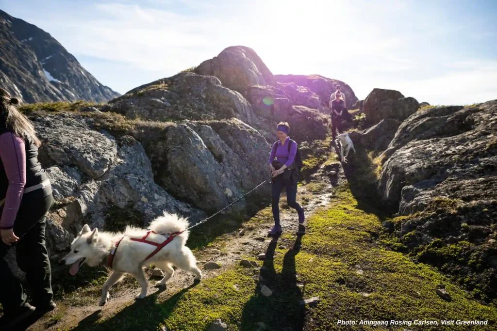 Dogsledge Taxi hike. Photo-Aningaaq Rosing Carlsen - Visit Greenland