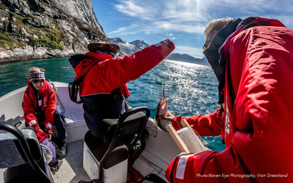 Touring Greenland stops to fish for cod while on a boat tour in Nuuk Fjord sailing in an open boat